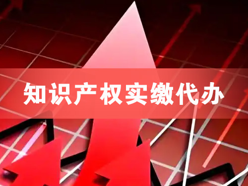 建德知识产权实缴资本代办